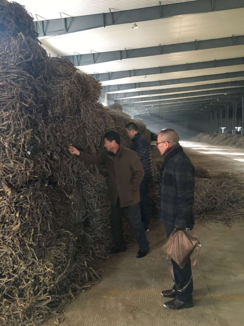 天山制藥未雨綢繆部署原材料收購